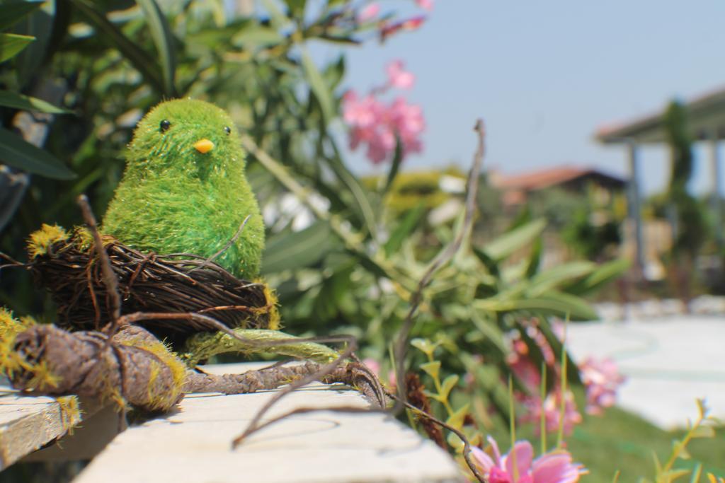 Lapis Port Surf Hotel Alacati Kültér fotó